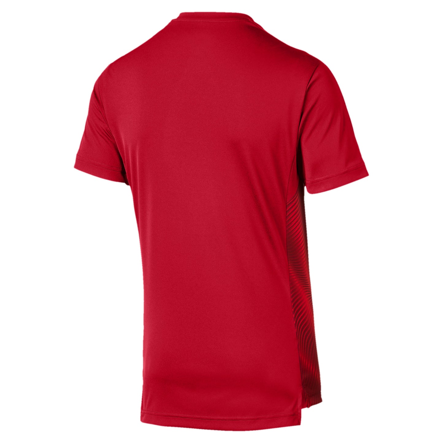 PUMA CHIVAS DEL GUADALAJARA JERSEY DE ENTRENAMIENTO STADIUM 2019/20 2