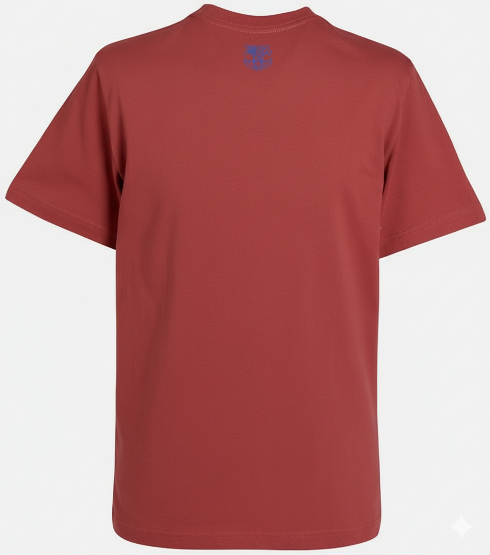 NIKE FC BARCELONA PLAYERA CORE 2011/12 Rojo Tormenta 2