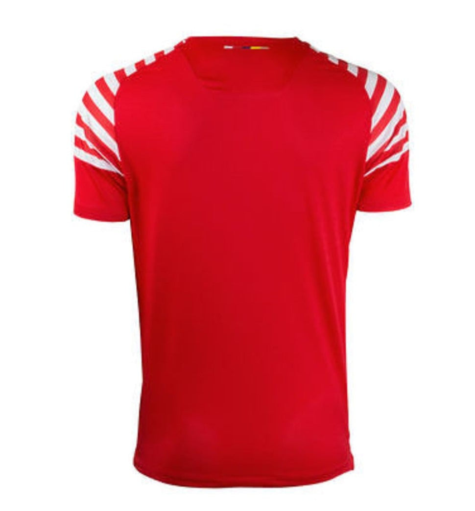 PUMA ARSENAL JERSEY PRE PARTIDO Rojo/Blanco 2