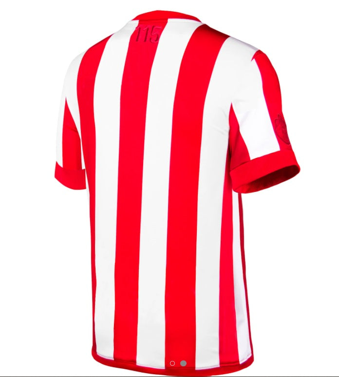 PUMA CHIVAS DE GUADALAJARA 115 ANIVERSARIO JERSEY 2021 2