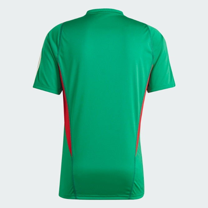 ADIDAS MÉXICO JERSEY DE ENTRENAMIENTO TIRO COPA MUNDIAL FIFA 2022 2
