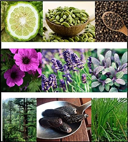 FILA PERFUME EUA DE TOILETTE 100ml