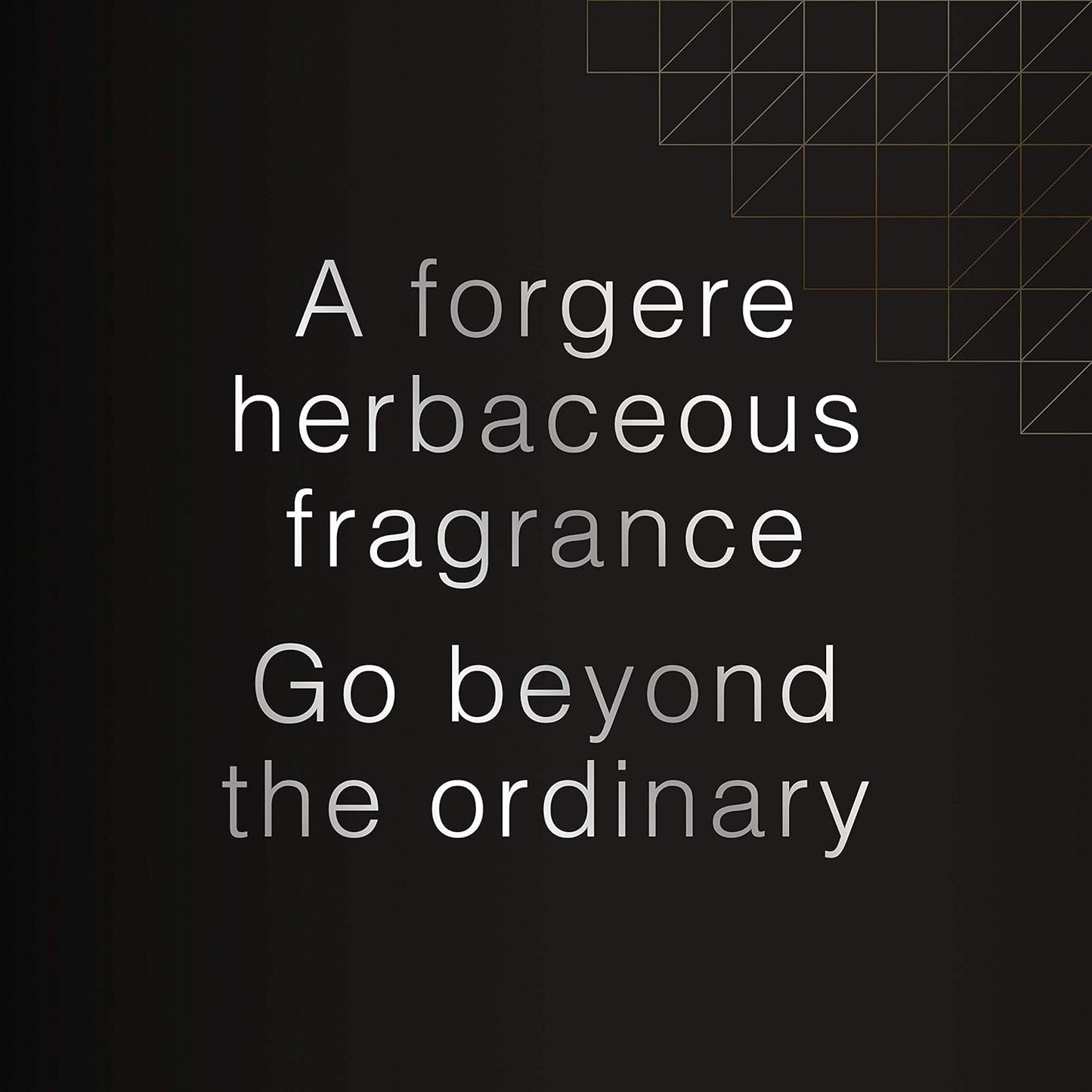 DAVID BECKHAM BEYOND PERFUME EAU DE TOILETTE 90ml 4