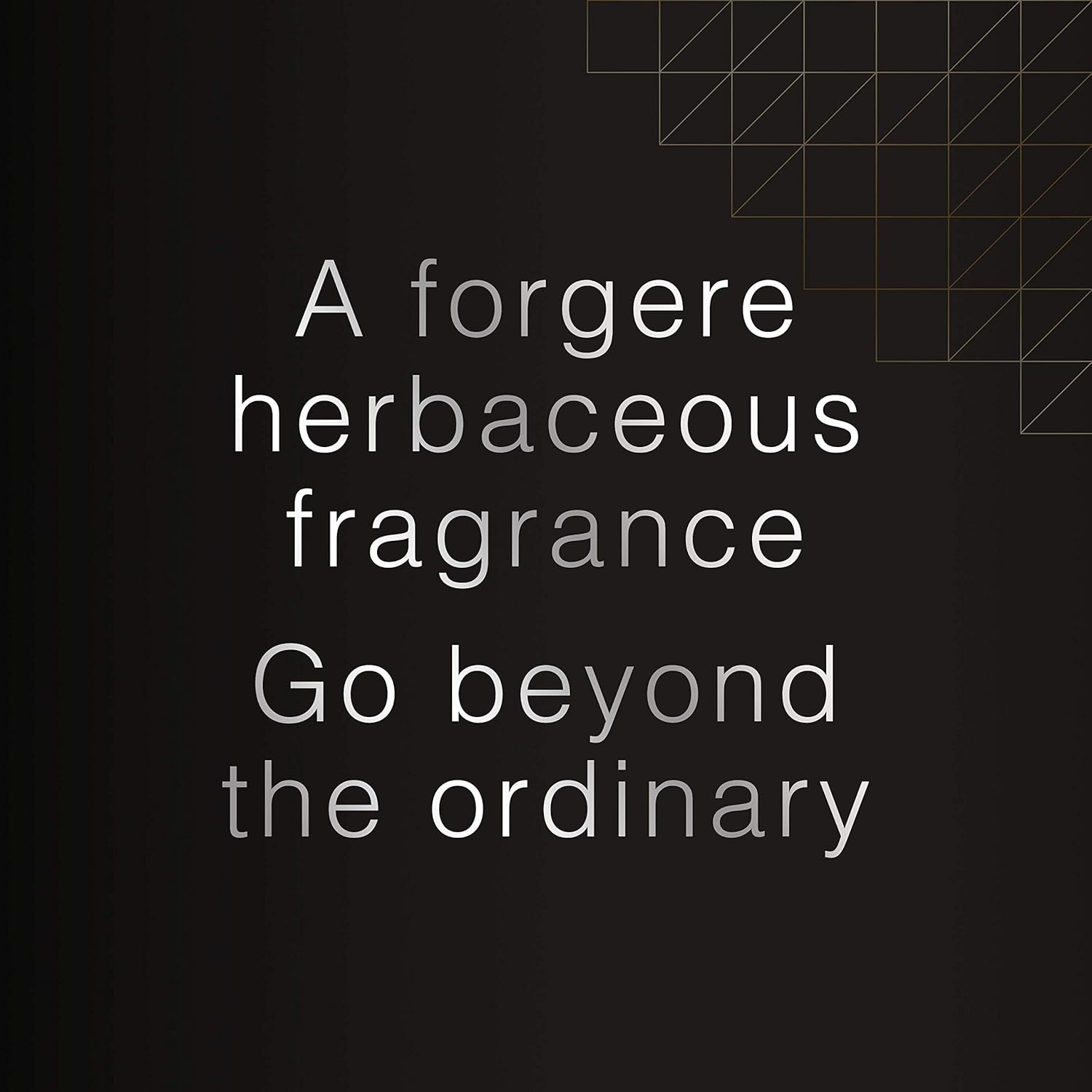 DAVID BECKHAM BEYOND PERFUME EAU DE TOILETTE 90ml 4