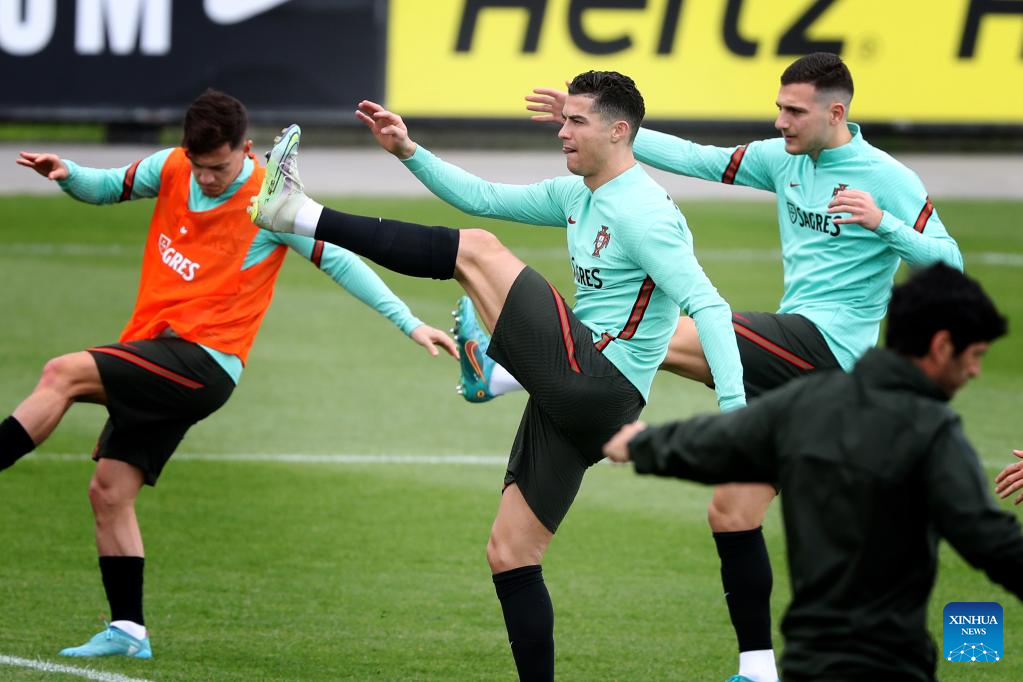 NIKE PORTUGAL VAPORKNIT STRIKE SUDADERA DE ENTRENAMIENTO EURO 2021 9