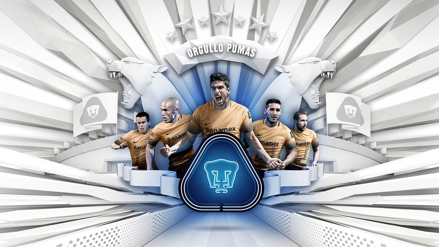 NIKE PUMAS UNAM JERSEY DE VISITA 2015/16 4