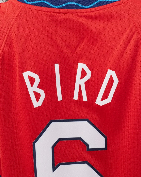 NIKE SUE BIRD EQUIPO DE BASKETBALL FEMENIL USA JUEGOS OLIMPICOS 2020 5