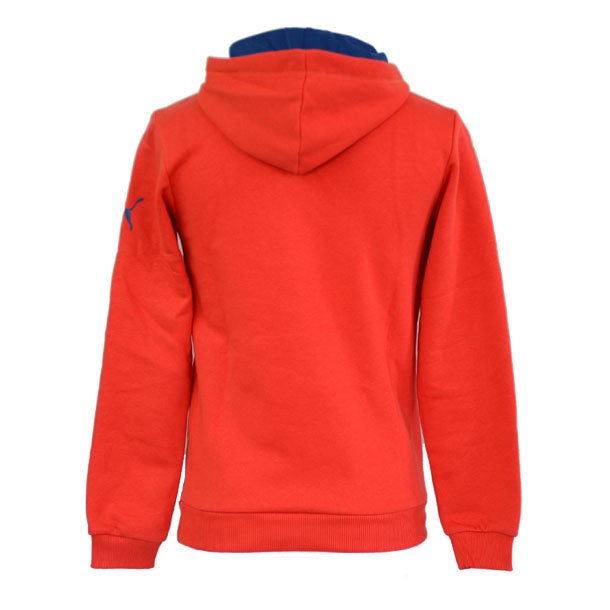 PUMA ARSENAL FC SUDADERA CON GORRA PARA FANS 2