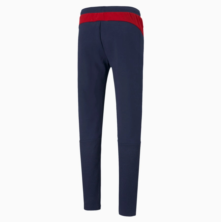 PUMA CHIVAS DEL GUADALAJARA PANTS EVOSTRIPE 2021 2