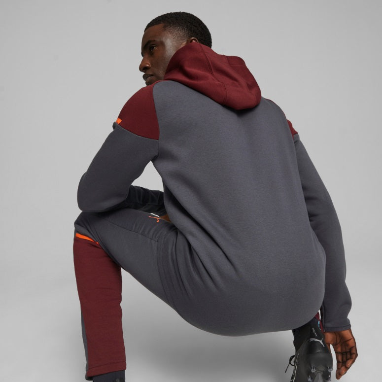 PUMA MANCHESTER CITY CASUALS CHAMARRA CON GORRA 2023/24 7